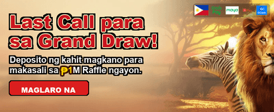 Experience Premium Gaming Excellence
